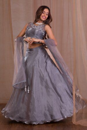 Ornate Beaded Tissue Lehenga - Ready to Wear - image 1